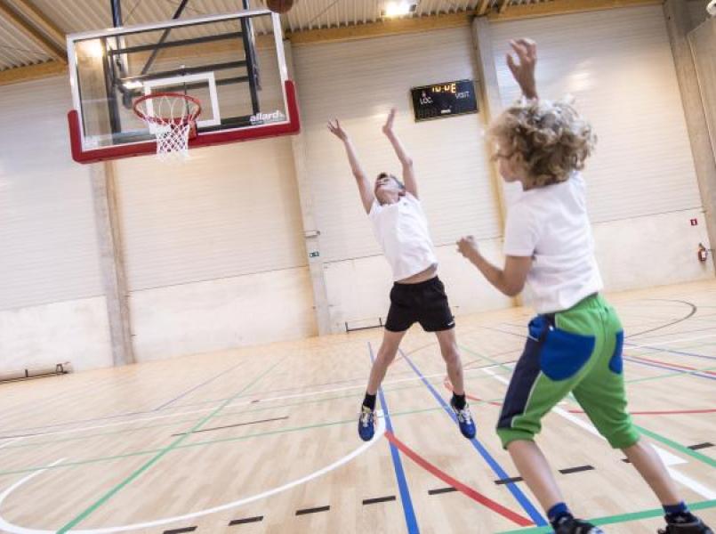 gerflor-header-sub-segment-sport-indoor