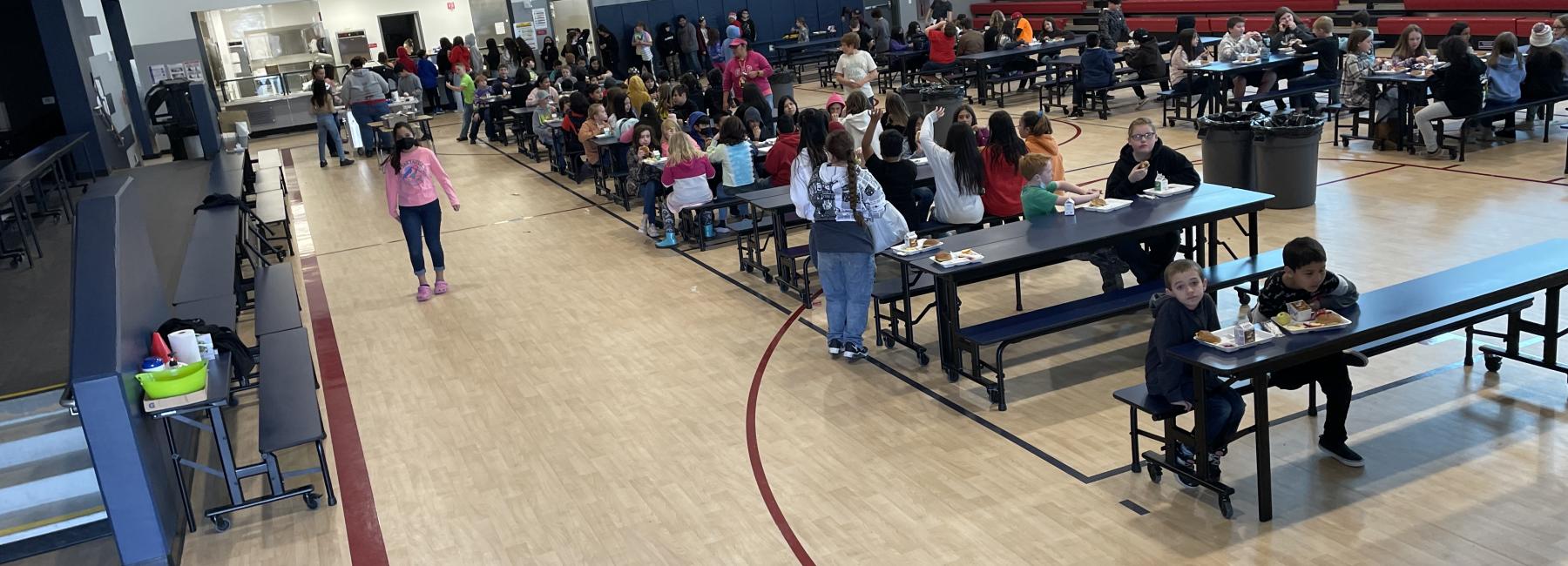 Multipurpose Flooring with DryTex