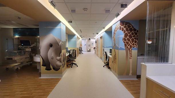 Job The Christ Hospital Taralay Premium Comfort Initial US 1