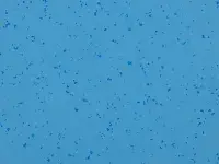 Mipolam Planet 5436 Tiger Eye