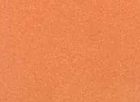 Attraction - Goias 8157