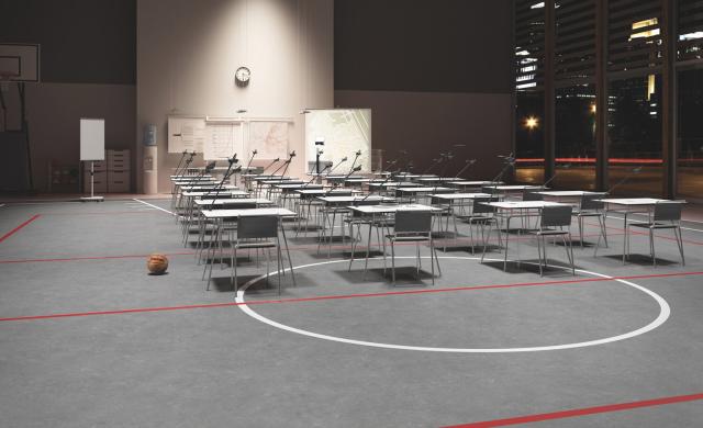 gerflor-vn-taraflex-multi-use