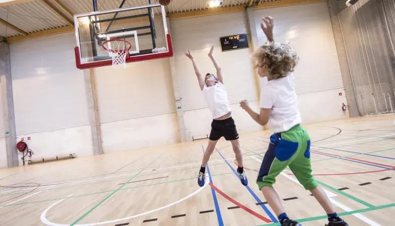 gerflor-header-sub-segment-sport-indoor